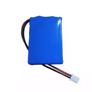 Replacement battery for JERRY-II
