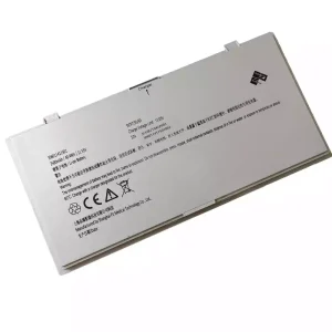 Battery for PZ 306011411501 306011411502
